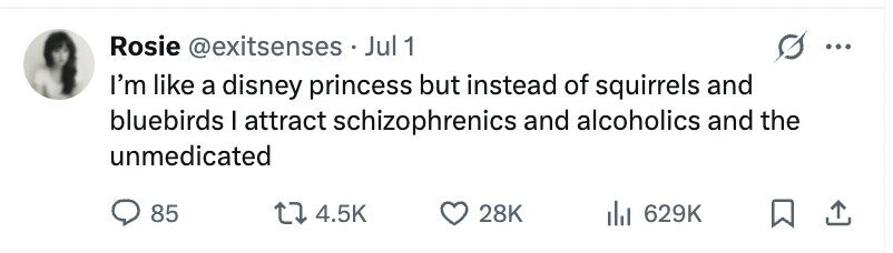 Rois @exitsenses . j Jul 1 ... I'm like a disney princess but instead of squirrels and bluebirds I attract schizophrenics and alcoholics and the unmedicated 85 4.5K 28K 629K