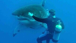 Photos Where Somebody Needed A Jet Pack