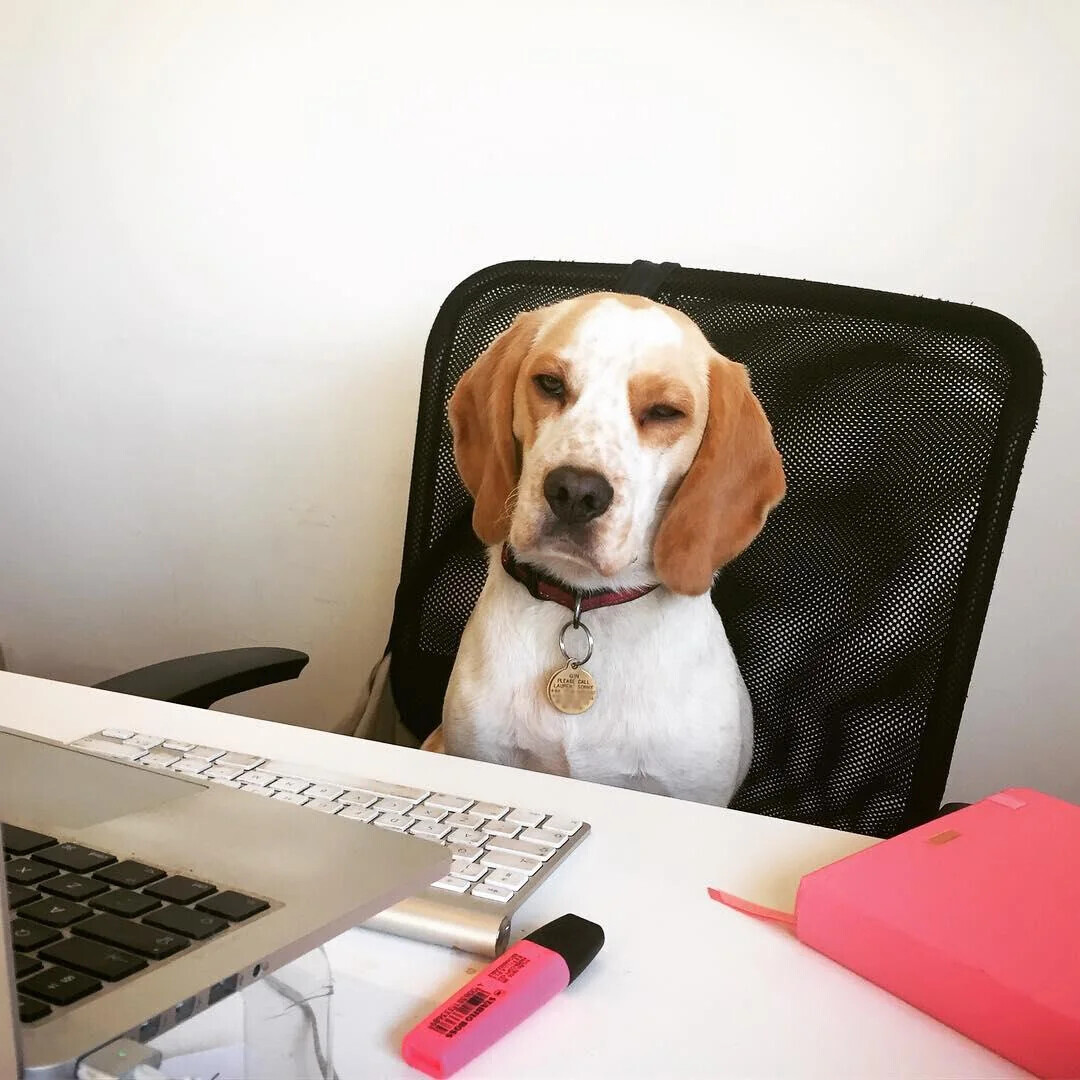 20 Coworkers You Wouldn't Want to Be Stuck Next To