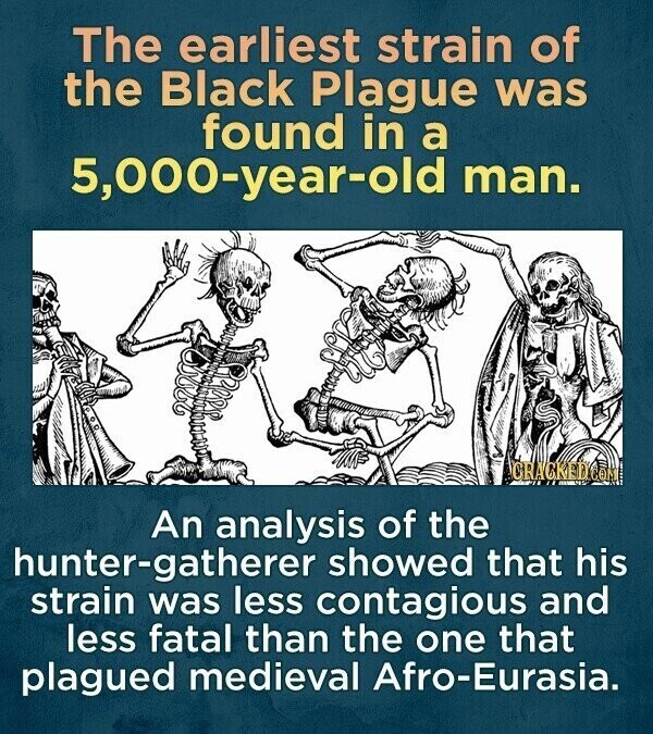 The earliest strain of the Black Plague was found in a 5,000-year-old man. CRACKED COM An analysis of the hunter-gatherer showed that his strain was less contagious and less fatal than the one that plagued medieval Afro-Eurasia.