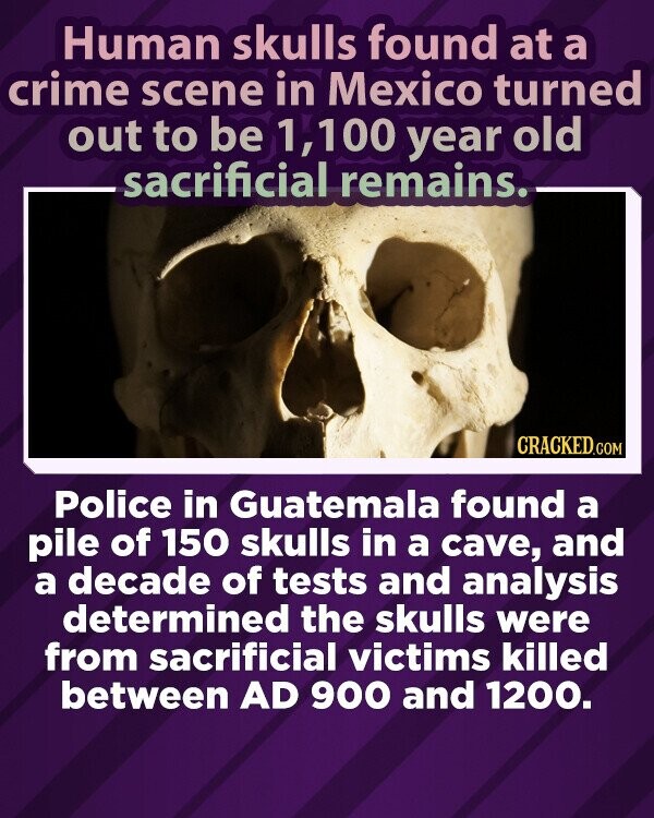Human skulls found at a crime scene in Mexico turned out to be 1,100 year old sacrificial remains. CRACKED.COM Police in Guatemala found a pile of 150 skulls in a cave, and a decade of tests and analysis determined the skulls were from sacrificial victims killed between AD 900 and 1200.
