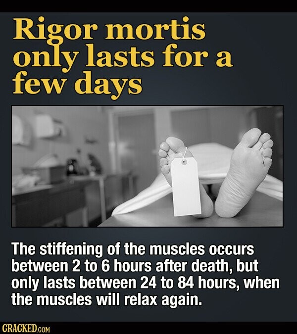 Rigor mortis only lasts for a few days The stiffening of the muscles occurs between 2 to 6 hours after death, but only lasts between 24 to 84 hours, when the muscles will relax again. CRACKED.COM