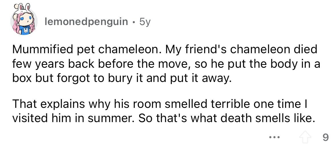 lemonedpenguin . . 5y Mummified pet chameleon. My friend's chameleon died few years back before the move, so he put the body in a box but forgot to bury it and put it away. That explains why his room smelled terrible one time I visited him in summer. So that's what death smells like. ... 9