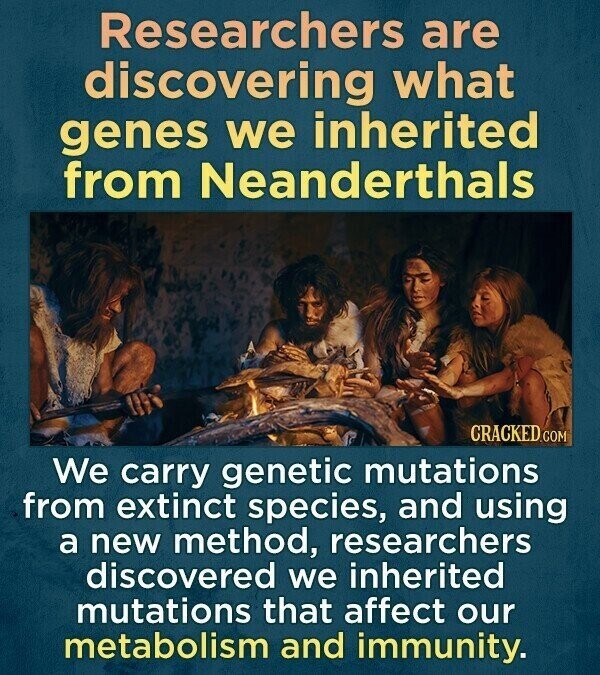 Researchers are discovering what genes we inherited from Neanderthals CRACKED.COM We carry genetic mutations from extinct species, and using a new method, researchers discovered we inherited mutations that affect our metabolism and immunity.