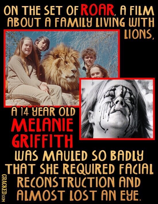 ON THE SET OF ROAR, A FILM ABOUT A FAMILY LIVING WITH LIONS, A 14 YEAR OLD MELANIE GRIFFITH WAS MAULED SO BADLY THAT SHE REQUIRED FACIAL CRACKED.COM RECONSTRUCTION AND ALMOST LOST AN EYE.