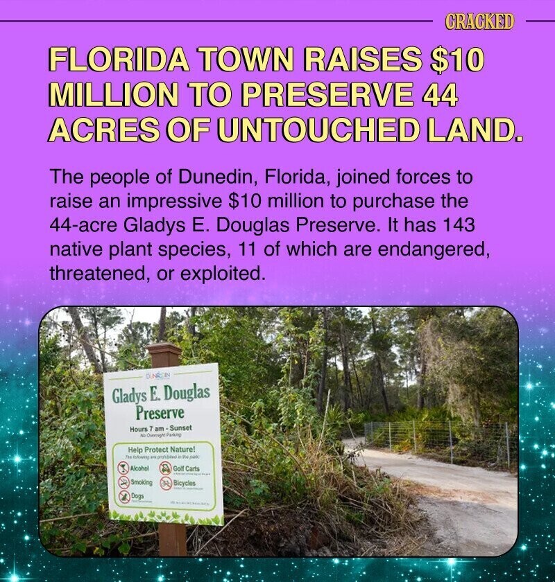 CRACKED FLORIDA TOWN RAISES $10 MILLION TO PRESERVE 44 ACRES OF UNTOUCHED LAND. The people of Dunedin, Florida, joined forces to raise an impressive $10 million to purchase the 44-acre Gladys Е. Douglas Preserve. It has 143 native plant species, 11 of which are endangered, threatened, or exploited. DINON Gladys E. Douglas Preserve Hours 7 am Sunset No Oversight Parking Help Protect Nature! The following and postard e the park Alcohol Golf Carts Smoking Bicycles - Dogs which