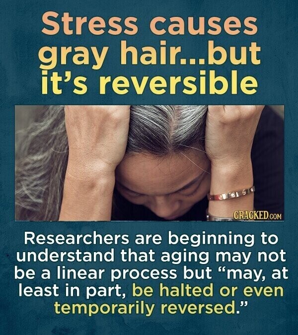 Stress causes gray hair...but it's reversible SWICK 3 CRACKED.COM Researchers are beginning to understand that aging may not be a linear process but may, at least in part, be halted or even temporarily reversed.