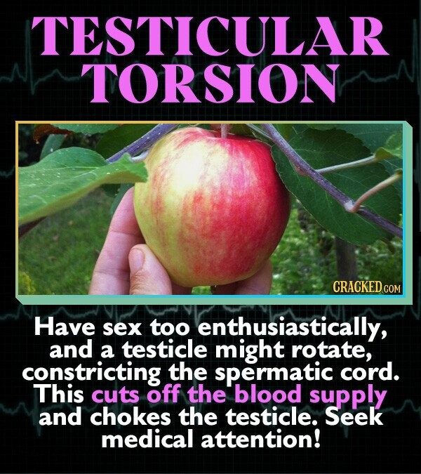 TESTICULAR TORSION CRACKED.COM Have sex too enthusiastically, and a testicle might rotate, constricting the spermatic cord. This cuts off the blood supply and chokes the testicle. Seek medical attention!