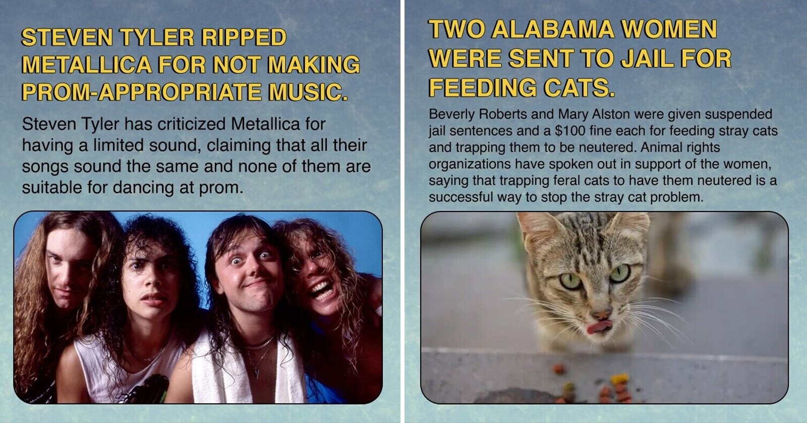 15 Weird Headlines That Left Us Questioning Reality | Cracked.com