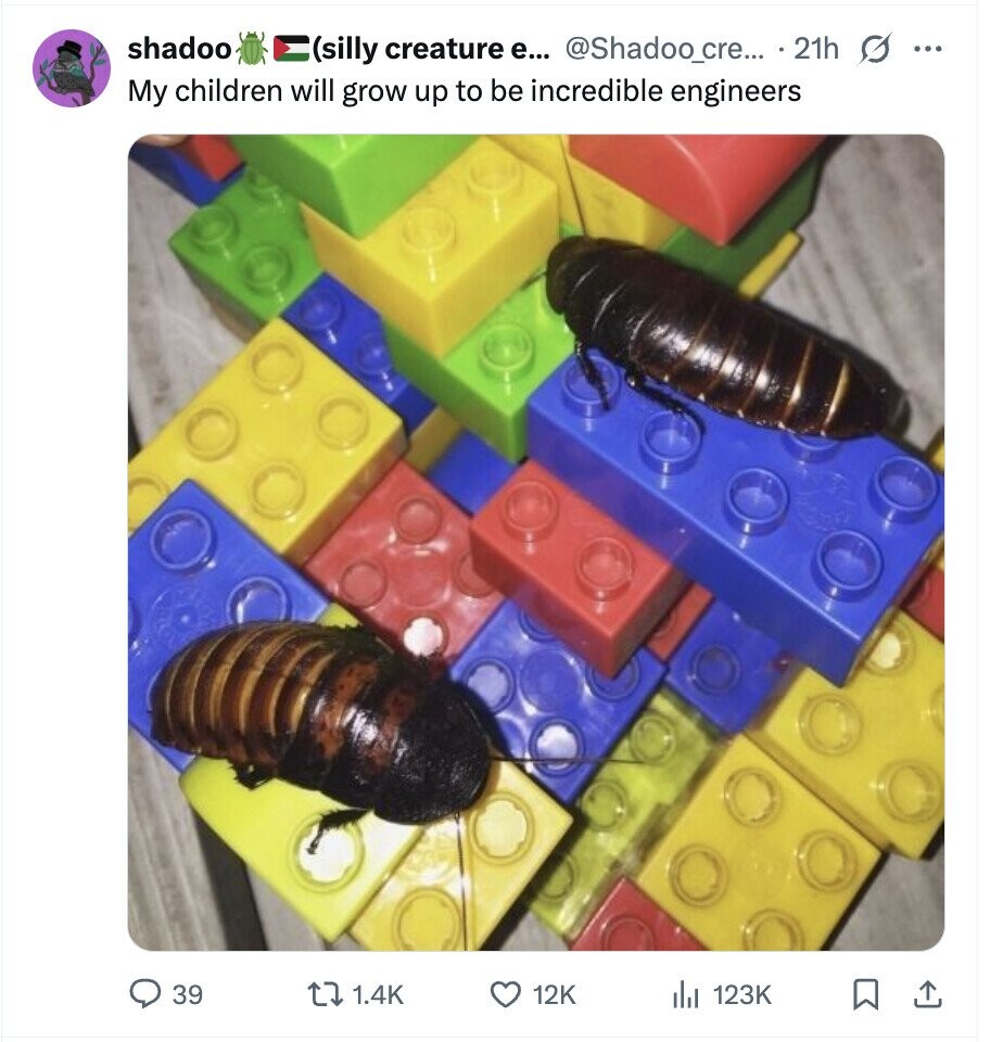 shadoo (silly creature e... @Shadoo_cre... 21h G ... My children will grow up to be incredible engineers 39 1.4K 12K del 123K