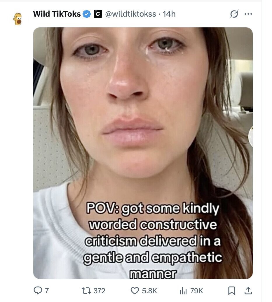 Wild TikToks с @wildtiktokss . 14h O ... POV: got some kindly worded constructive criticism delivered in a gentle and empathetic manner 7 372 5.8K del 79K