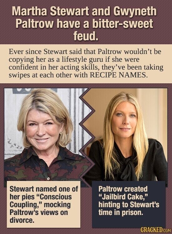 Martha Stewart and Gwyneth Paltrow have a bitter-sweet feud. Ever since Stewart said that Paltrow wouldn't be copying her as a lifestyle guru if she were confident in her acting skills, they've been taking swipes at each other with RECIPE NAMES. Stewart named one of Paltrow created her pies Conscious Jailbird Cake, Coupling, mocking hinting to Stewart's Paltrow's views on time in prison. divorce. CRACKED.COM
