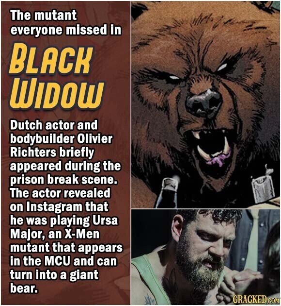 The mutant everyone missed in BLACK WIDOW Dutch actor and bodybuilder Olivier Richters briefly appeared during the prison break scene. The actor revealed on Instagram that he was playing Ursa Major, an X-Men mutant that appears in the MCU and can turn into a giant bear. GRACKED COM