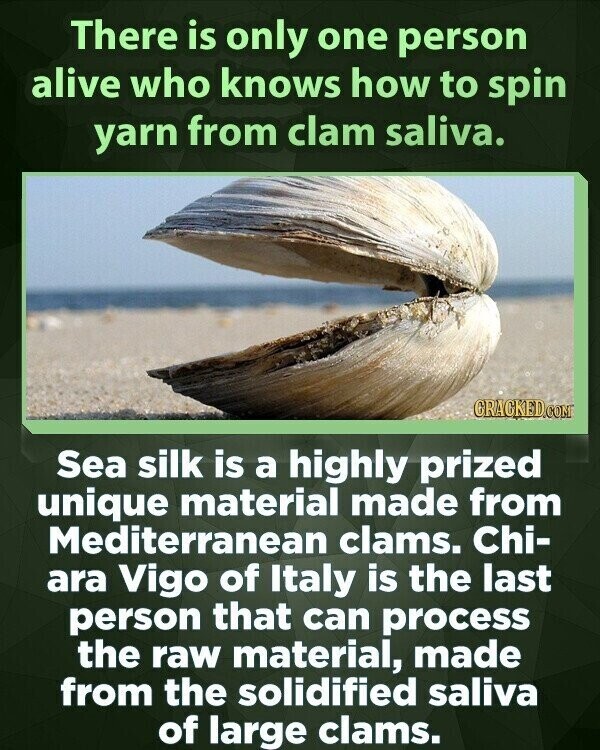 There is only one person alive who knows how to spin yarn from clam saliva. GRACKED.COM Sea silk is a highly prized unique material made from Mediterranean clams. Chi- ara Vigo of Italy is the last person that can process the raw material, made from the solidified saliva of large clams.