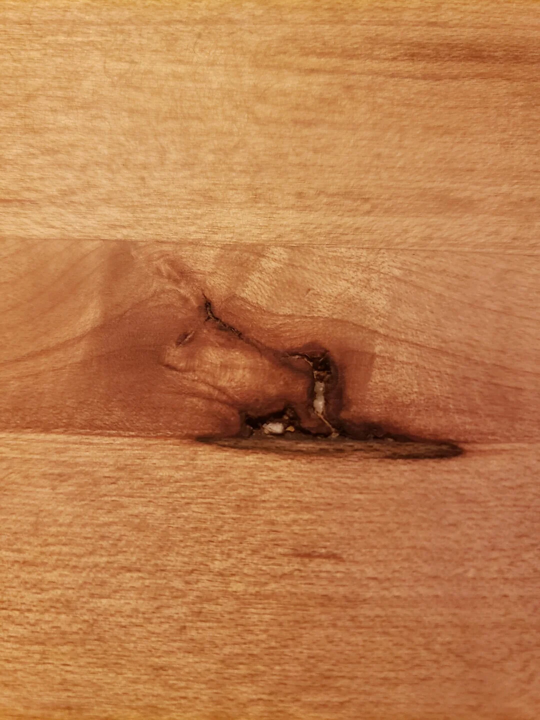 Images That Make You Question What’s Actually Happening