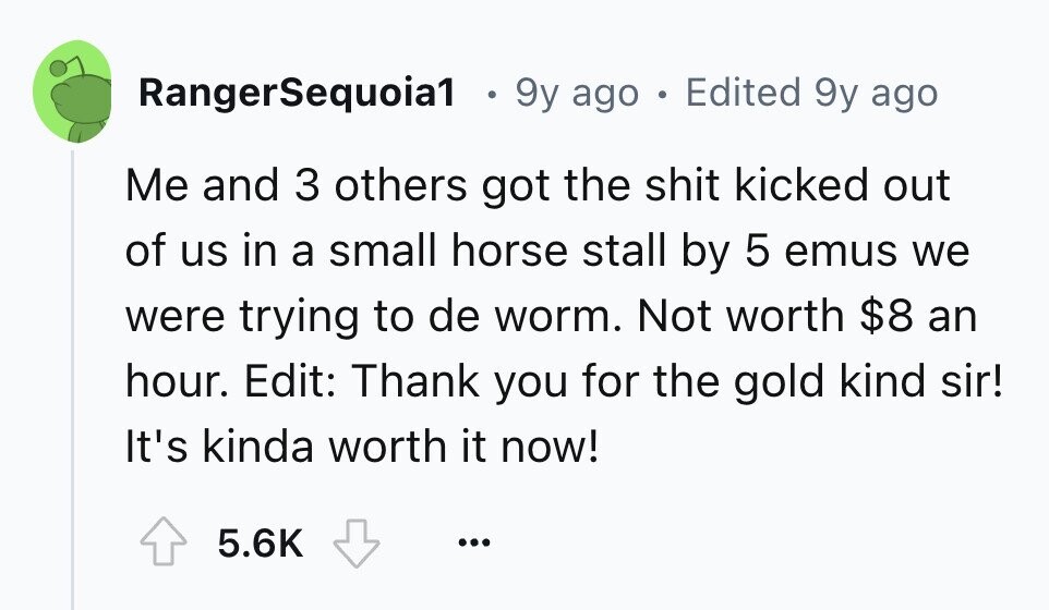 RangerSequoia1 9y ago . Edited 9y ago Me and 3 others got the shit kicked out of us in a small horse stall by 5 emus we were trying to de worm. Not worth $8 an hour. Edit: Thank you for the gold kind sir! It's kinda worth it now! 5.6K ...