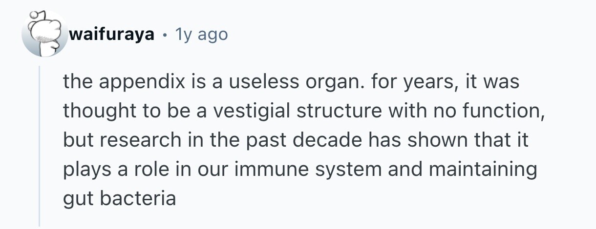 waifuraya . 1y ago the appendix is a useless organ. for years, it was thought to be a vestigial structure with no function, but research in the past decade has shown that it plays a role in our immune system and maintaining gut bacteria