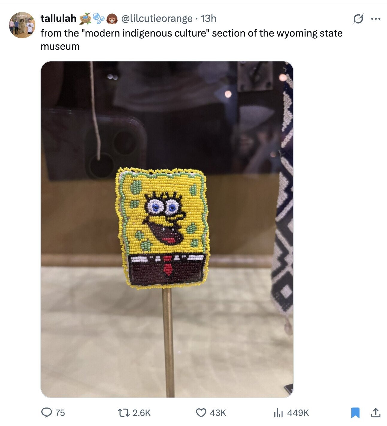 tallulah @lilcutieorange 13h S ... from the modern indigenous culture section of the wyoming state museum 75 2.6K 43K 449K
