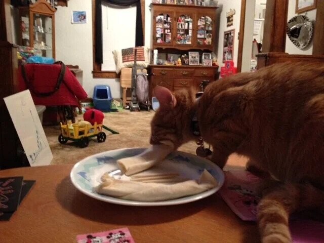 Photos People Wish They Could Escape