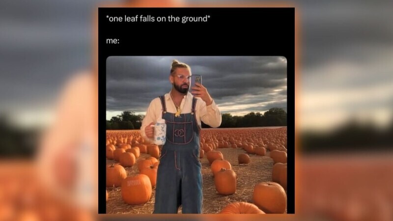 25 Cozy Fall Memes to Welcome Sweater Weather with a Warm Hello-Ween ...