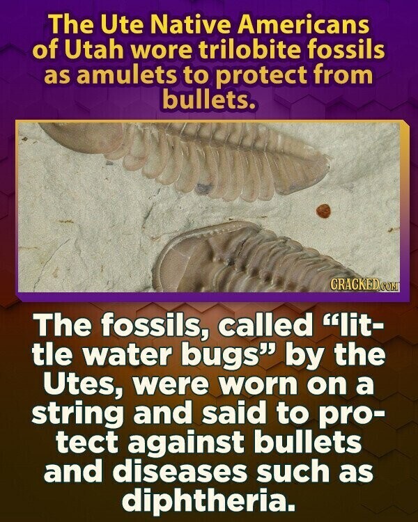 The Ute Native Americans of Utah wore trilobite fossils as amulets to protect from bullets. CRACKED.COM The fossils, called lit- tle water bugs by the Utes, were worn on a string and said to pro- tect against bullets and diseases such as diphtheria.
