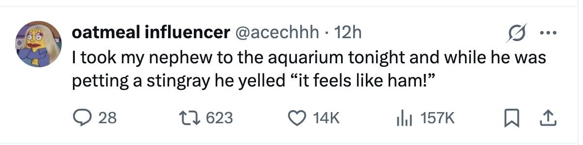 oatmeal influencer @acechhh . 1 12h ... I took my nephew to the aquarium tonight and while he was petting a stingray he yelled it feels like ham! 28 623 14K 157K