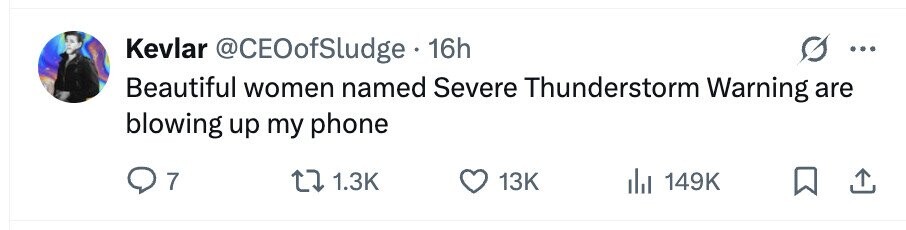 Kevlar @CEOofSludge 16h ... Beautiful women named Severe Thunderstorm Warning are blowing up my phone 7 1.3K 13K 149K