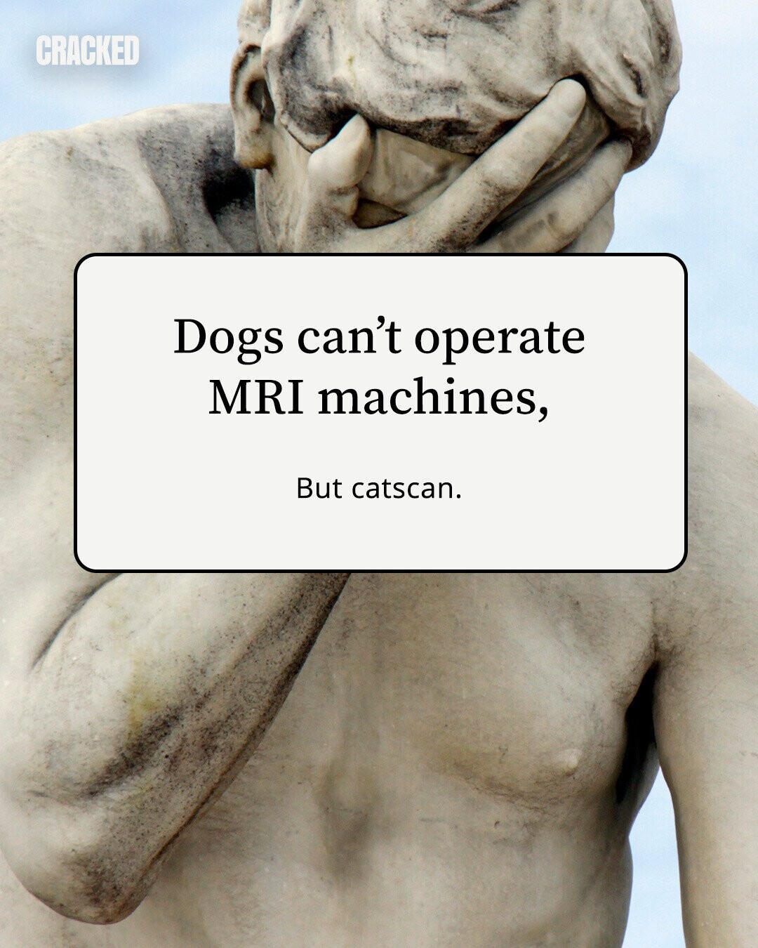 CRACKED Dogs can't operate MRI machines, But catscan.