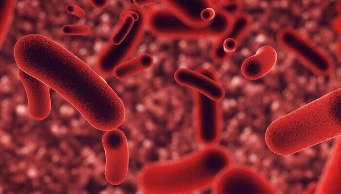 Baffling 'Cures' from Before the Days Modern Medicine