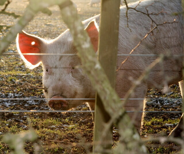 Unforgettable Historical Moments Not Everyone Knows