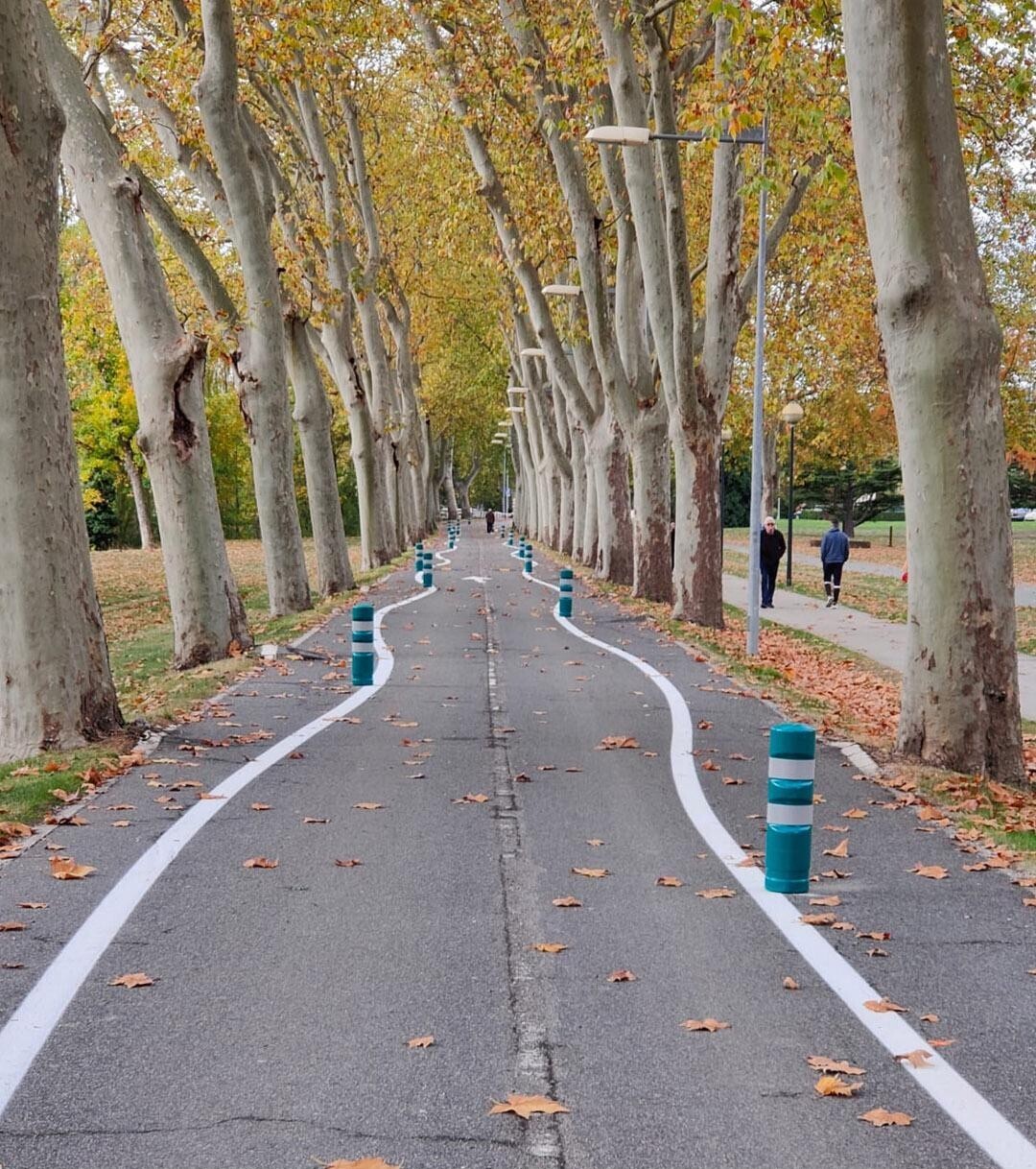 Photos Where Common Sense Isn't in the Room With Us