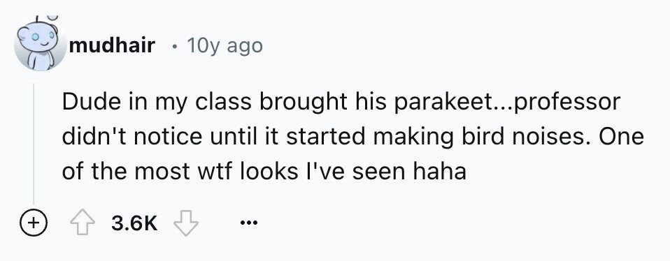 mudhair 10y ago Dude in my class brought his parakeet...professor didn't notice until it started making bird noises. One of the most wtf looks I've seen haha + 3.6K ...