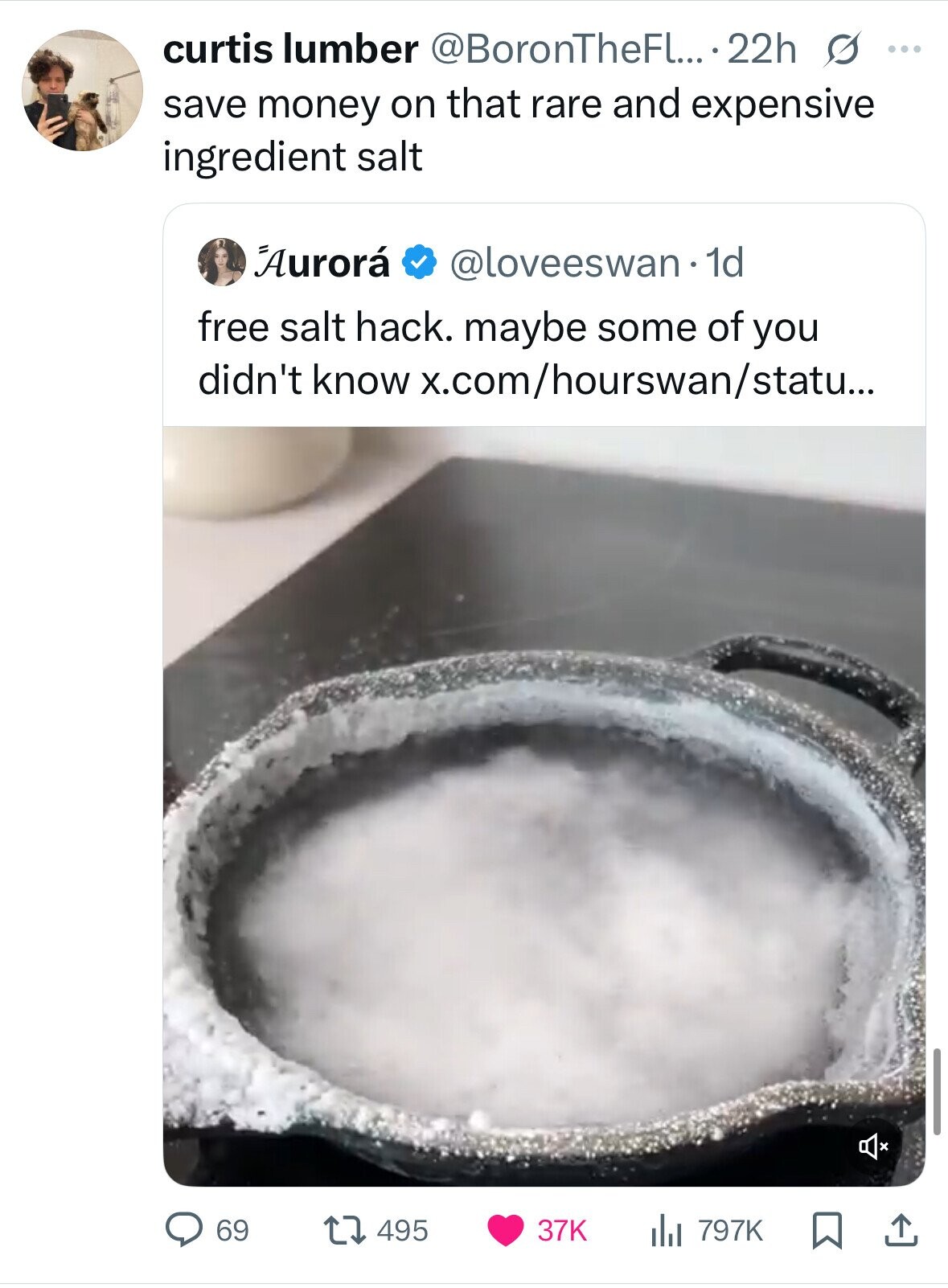curtis lumber @BoronTheFL... 22h s ... save money on that rare and expensive ingredient salt Aurorá @loveeswan . 1d free salt hack. maybe some of you didn't know x.com/hourswan/statu... 69 495 37K 797K 