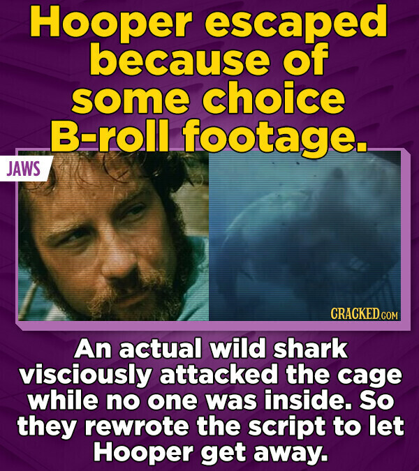 Hooper escaped because of some choice B-roll footage. JAWS CRACKED.COM An actual wild shark visciously attacked the cage while no one was inside. So they rewrote the script to let Hooper get away.