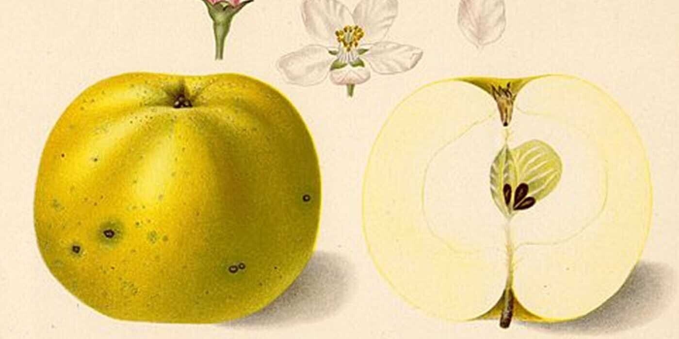 12 Random Bits of Trivia That’ll Get Stuck in Your Brain Like the Detritus That Won’t Come Out of the Bottom of the Garbage Can