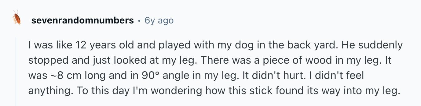 sevenrandomnumbers 6y ago I was like 12 years old and played with my dog in the back yard. Не suddenly stopped and just looked at my leg. There was a piece of wood in my leg. It was ~8 cm long and in 90° angle in my leg. It didn't hurt. I didn't feel anything. To this day I'm wondering how this stick found its way into my leg.