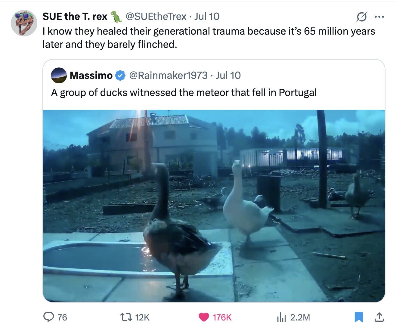 @SUEtheTrex Jul 10 SUE the т. rex ... I know they healed their generational trauma because it's 65 million years later and they barely flinched. Massimo @Rainmaker1973 . Jul 10 A group of ducks witnessed the meteor that fell in Portugal 76 12K 176K del 2.2M