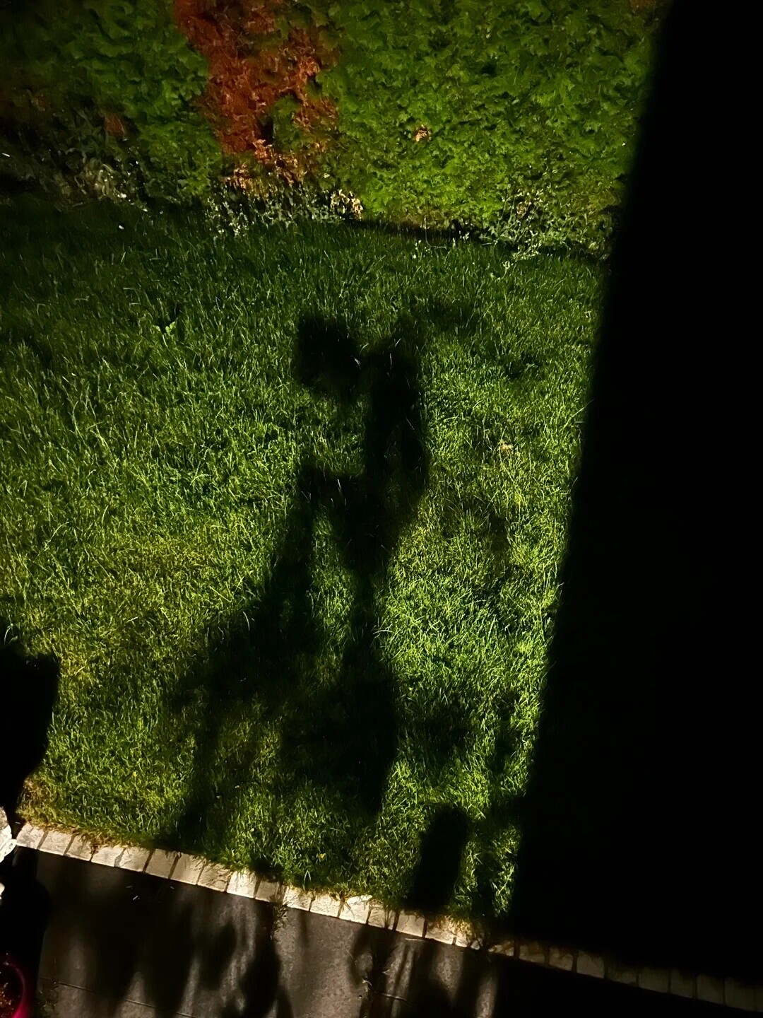 Images That Make You Question What’s Actually Happening