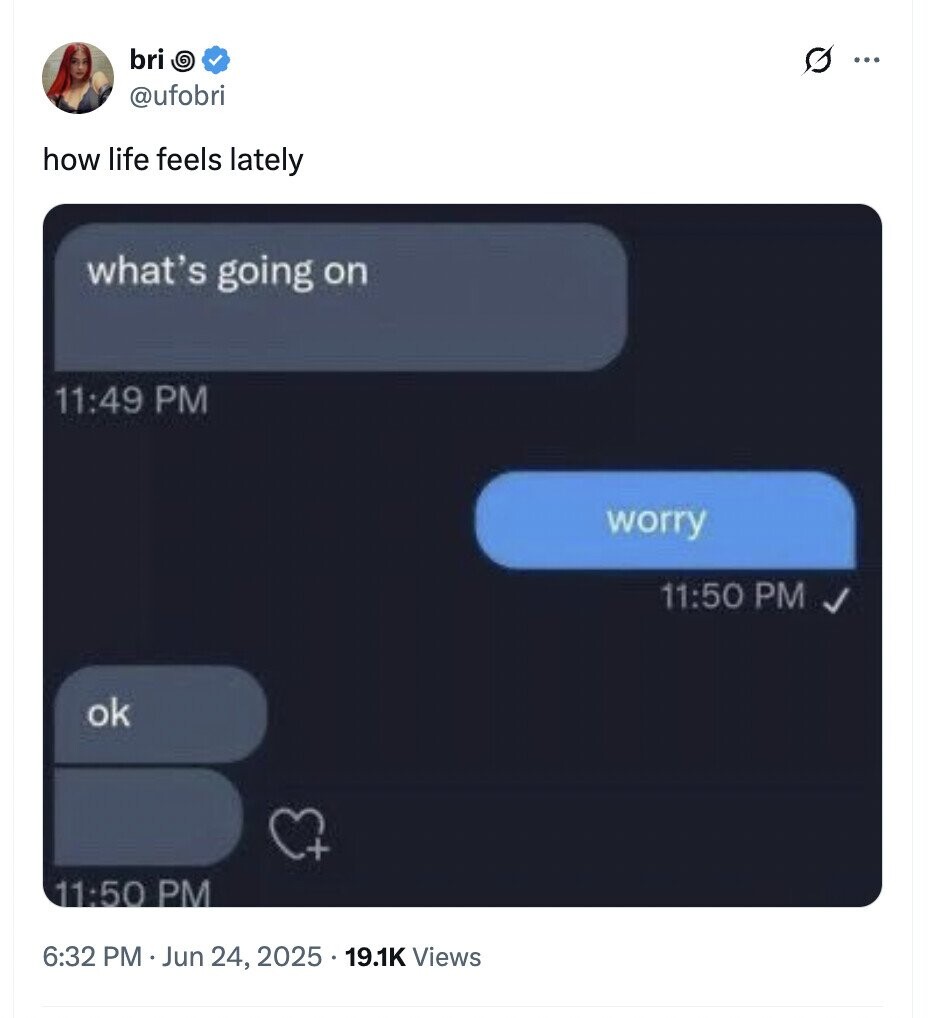 bri G ... @ufobri how life feels lately what's going on 11:49 PM worry 11:50 PM ok + 11:50 PM 6:32 PM Jun 24, 2025 19.1K Views