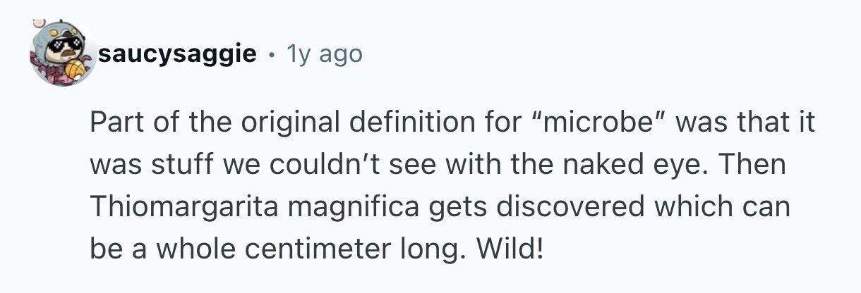 saucysaggie . 1y ago Part of the original definition for microbe was that it was stuff we couldn't see with the naked eye. Then Thiomargarita magnifica gets discovered which can be a whole centimeter long. Wild!
