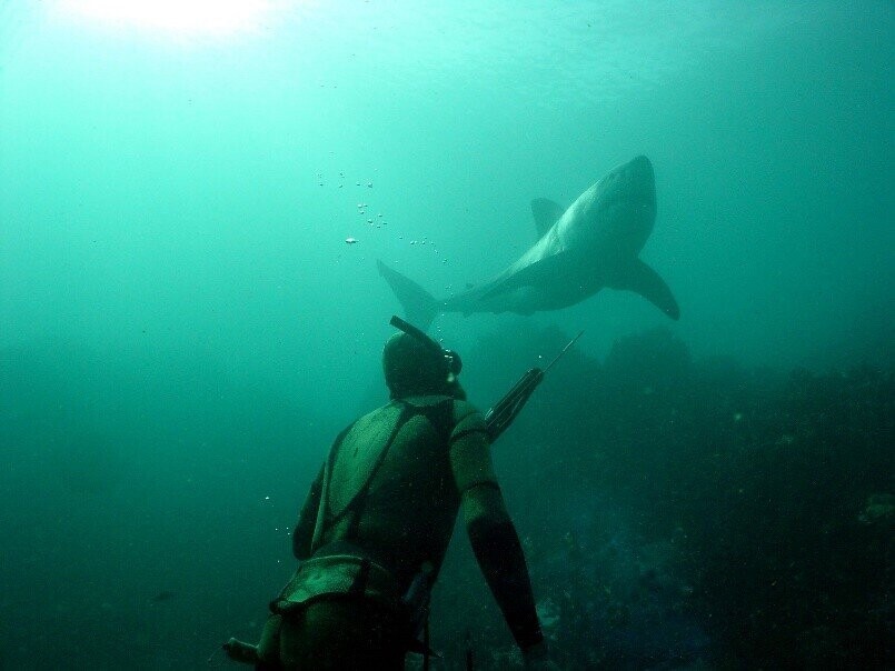 Photos Where Somebody Needed A Jet Pack