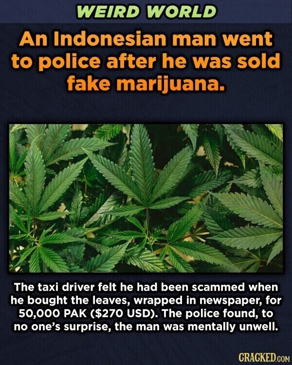 WEIRD WORLD An Indonesian man went to police after he was sold fake marijuana. The taxi driver felt he had been scammed when he bought the leaves, wrapped in newspaper, for 50,000 PAK ($270 USD). The police found, to no one's surprise, the man was mentally unwell. CRACKED.COM