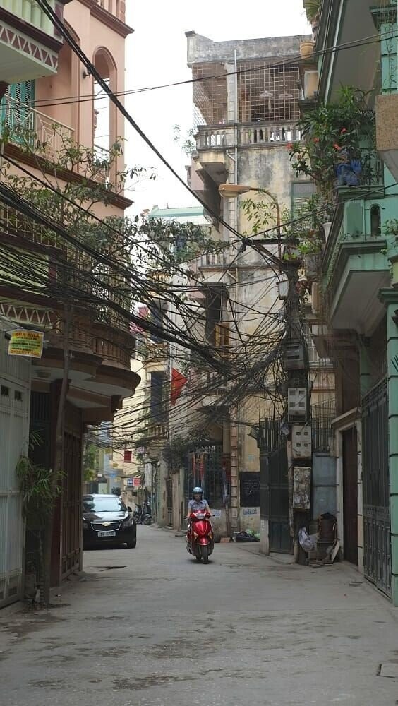 Urban Wired Jungles Somehow Powering the World