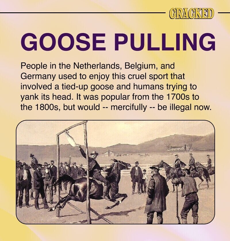 CRACKED GOOSE PULLING People in the Netherlands, Belgium, and Germany used to enjoy this cruel sport that involved a tied-up goose and humans trying to yank its head. It was popular from the 1700s to the 1800s, but would - mercifully - be illegal now.