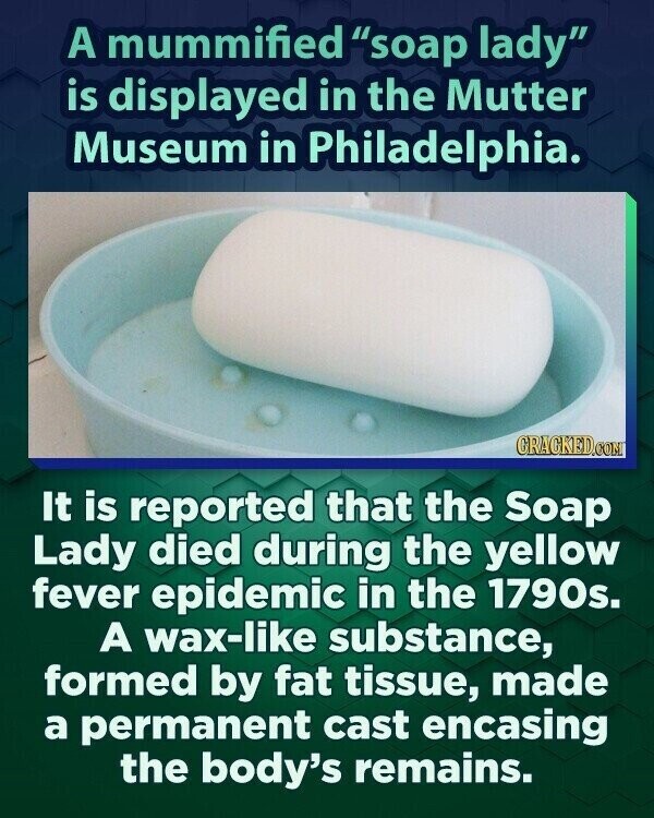 A mummified soap lady is displayed in the Mutter Museum in Philadelphia. CRACKED.COM It is reported that the Soap Lady died during the yellow fever epidemic in the 1790s. A wax-like substance, formed by fat tissue, made a permanent cast encasing the body's remains.