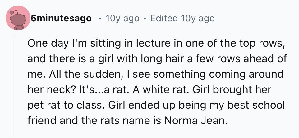 5minutesago 10y ago . Edited 10y ago One day I'm sitting in lecture in one of the top rows, and there is a girl with long hair a few rows ahead of me. All the sudden, I see something coming around her neck? It's...a rat. A white rat. Girl brought her pet rat to class. Girl ended up being my best school friend and the rats name is Norma Jean.