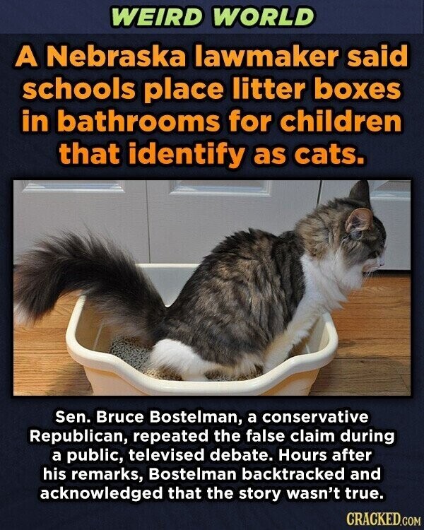 WEIRD WORLD A Nebraska lawmaker said schools place litter boxes in bathrooms for children that identify as cats. Sen. Bruce Bostelman, a conservative Republican, repeated the false claim during a public, televised debate. Hours after his remarks, Bostelman backtracked and acknowledged that the story wasn't true. CRACKED.COM