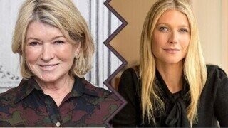 29 Celebrities Who Most Certainly Could Not Go Along to Get Along