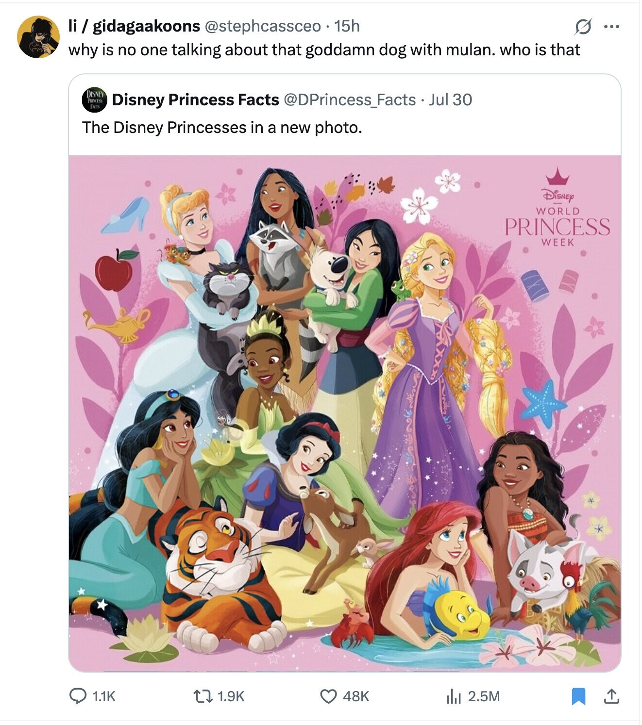 li / gidagaakoons @stephcassceo 15h S ... why is no one talking about that goddamn dog with mulan. who is that DISNEY PRINCESS FACTS Disney Princess Facts @DPrincess_Facts Jul 30 The Disney Princesses in a new photo. Disney WORLD PRINCESS WEEK 1.1K 1.9K 48K de 2.5M