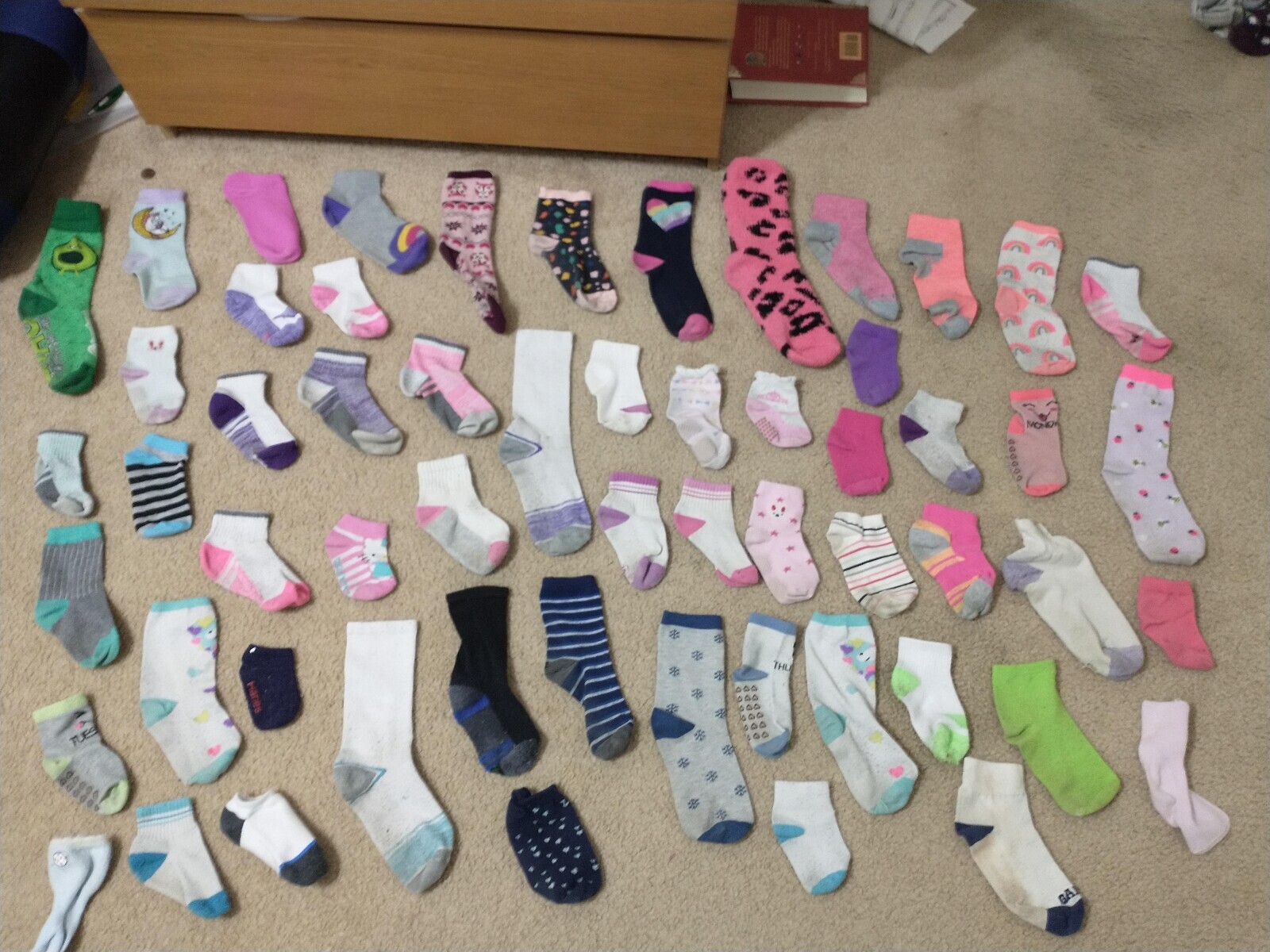 Photos Where Common Sense Isn't in the Room With Us